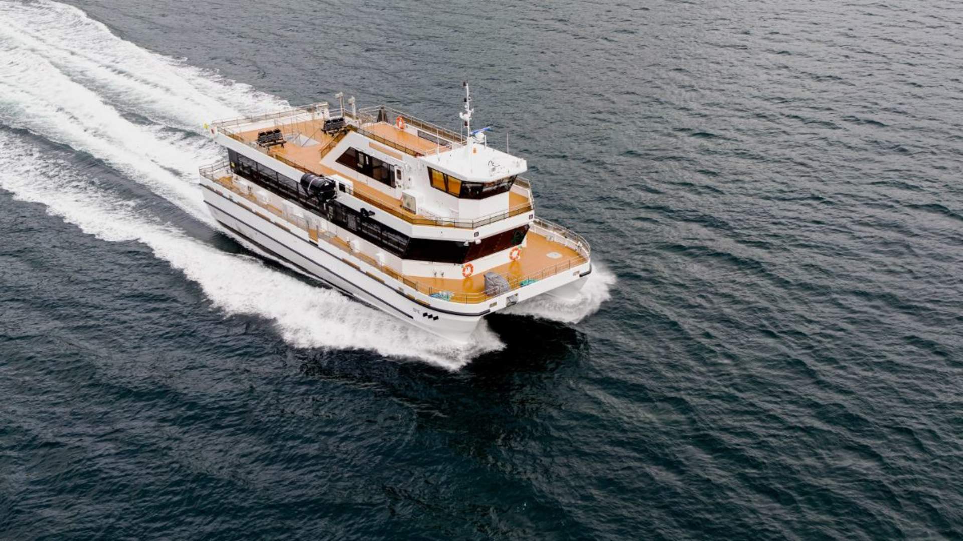 Whale Watching with scenic roadtrip