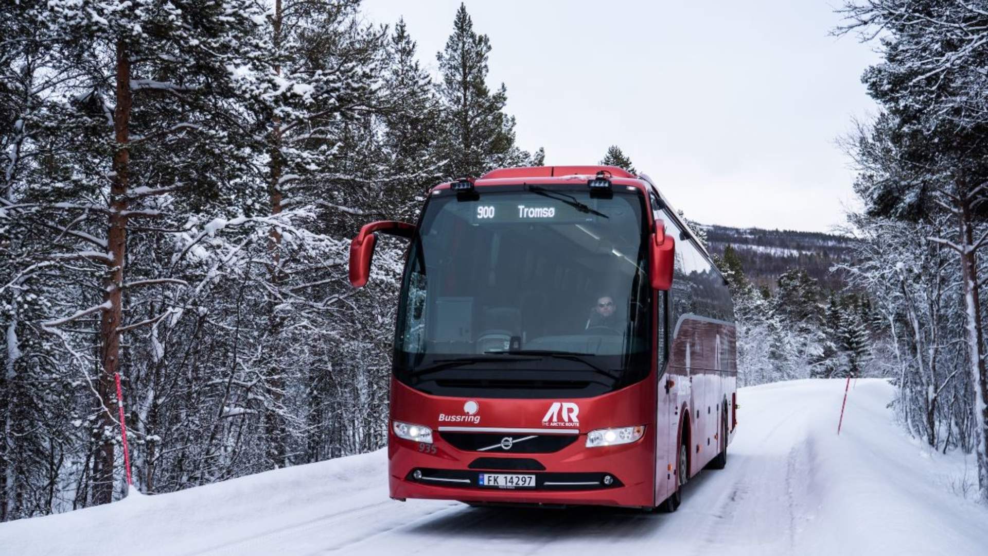 Whale Watching with scenic roadtrip