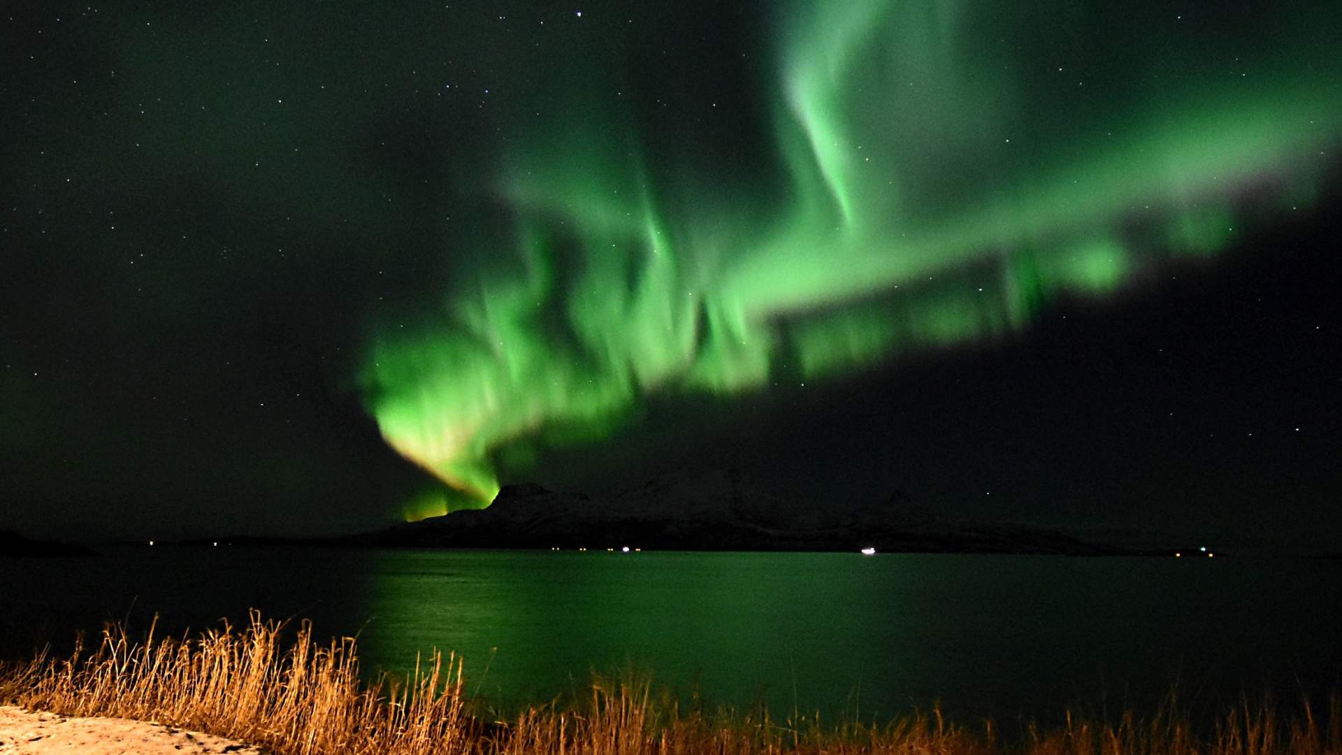 Hunting the Northern Lights from Bodø