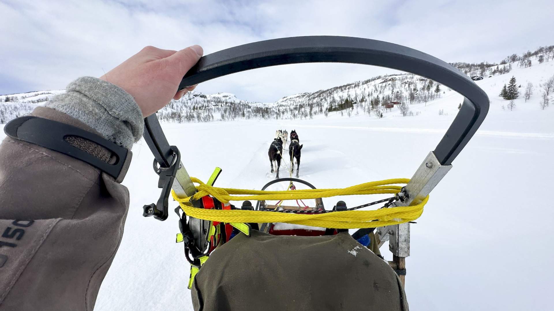 Dog Sledding with Freke Wilderness