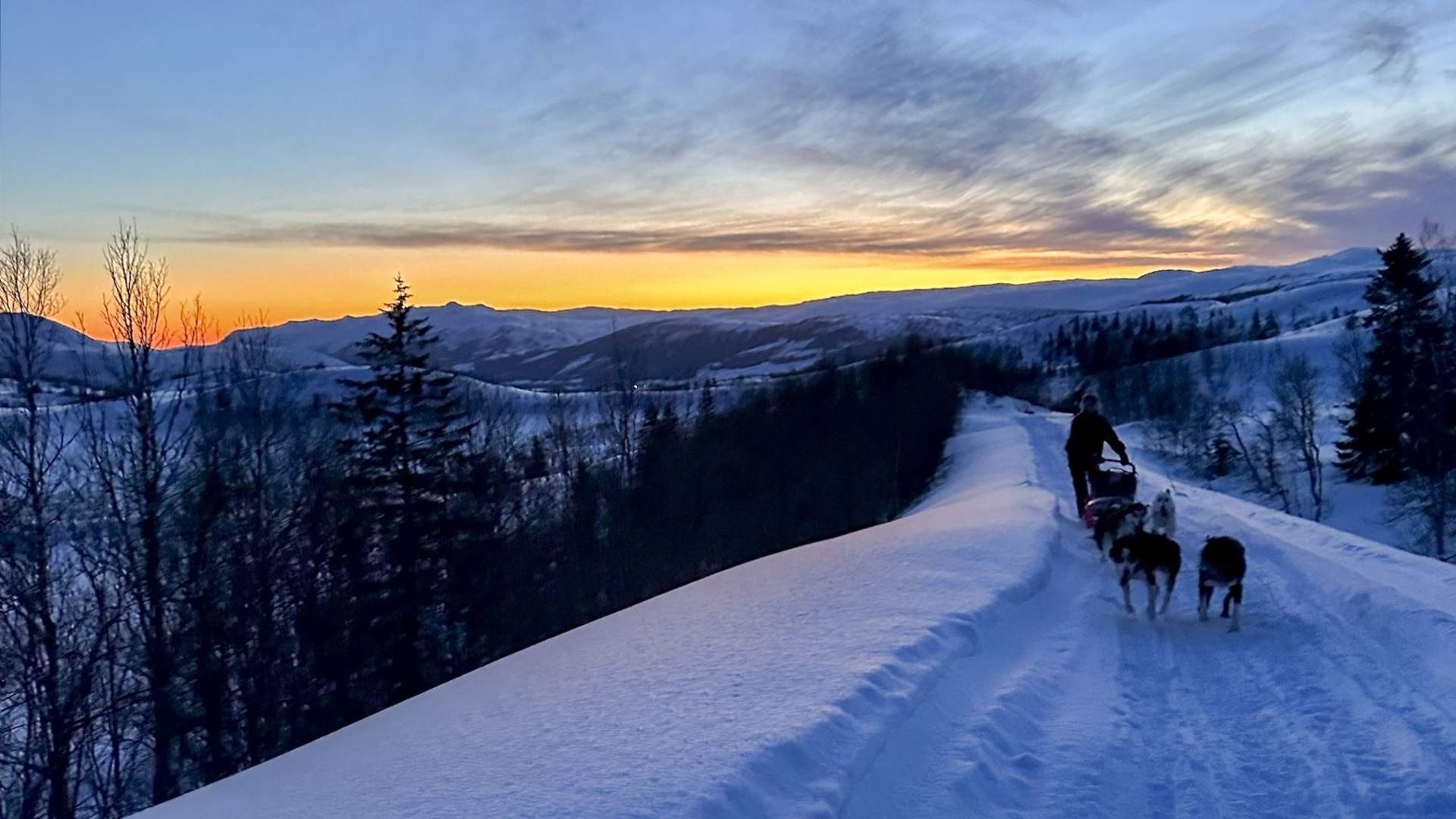 Dog Sledding with Freke Wilderness
