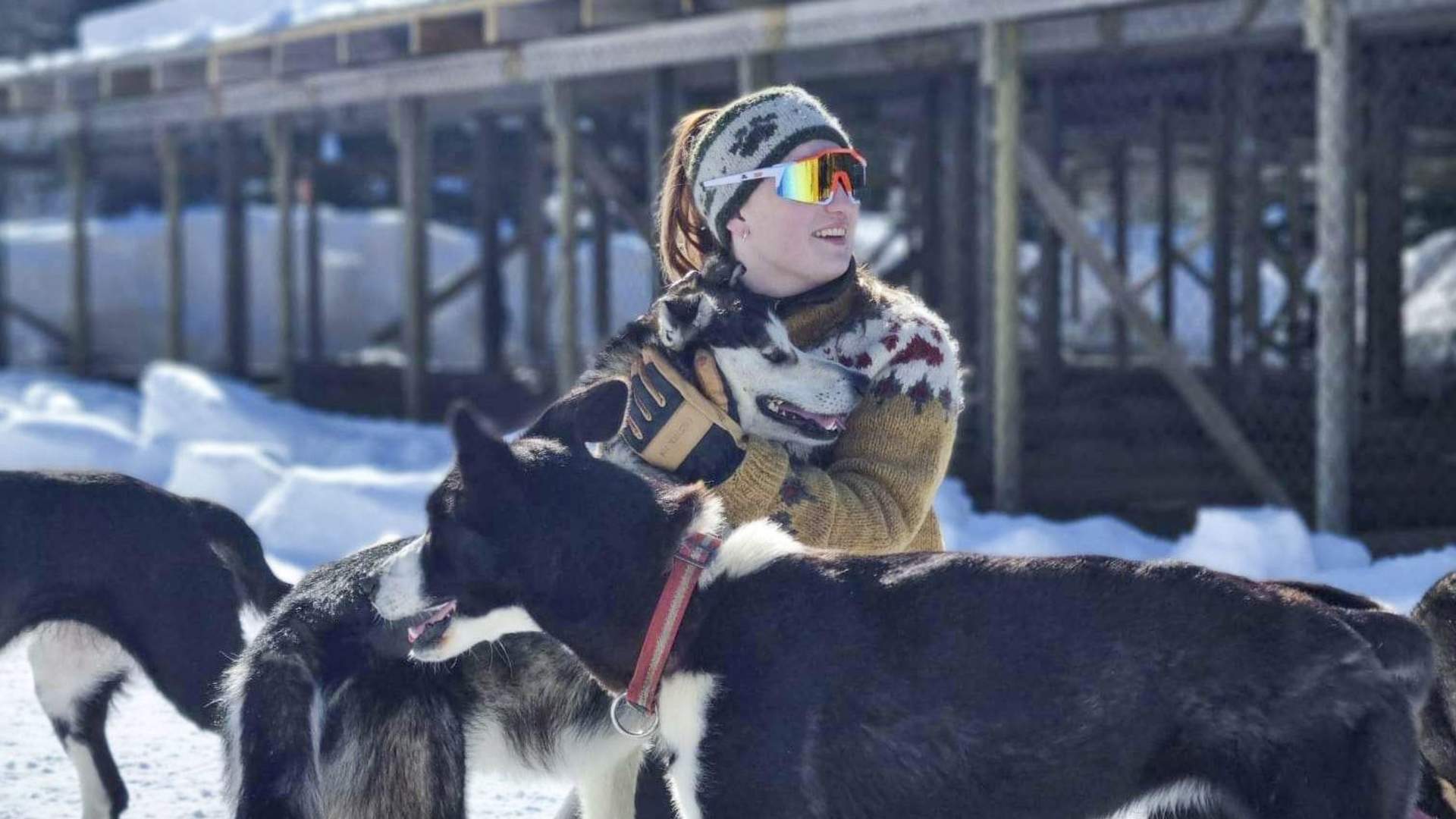 Dog Sledding with Freke Wilderness