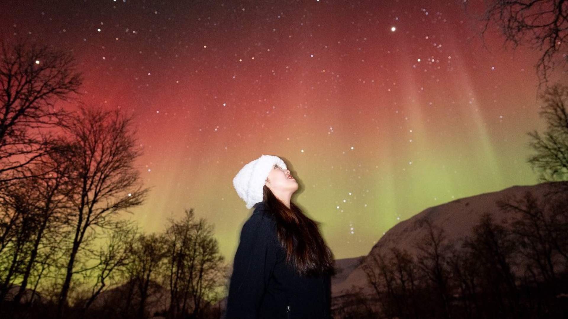 Northern Lights Tour with a Local Guide and Photos