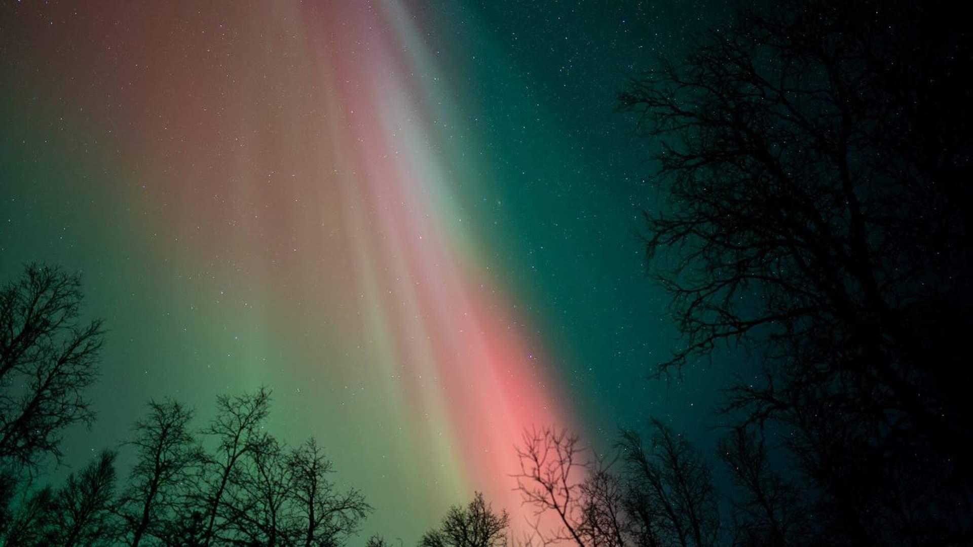 Northern Lights Tour with a Local Guide and Photos
