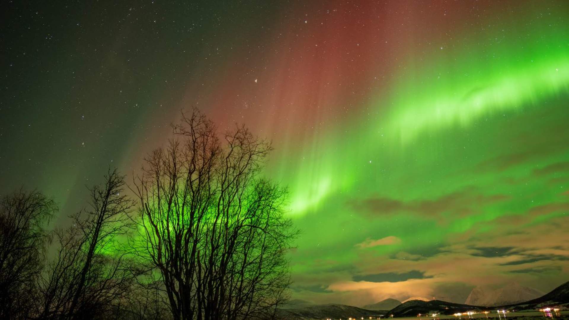 Northern Lights Tour with a Local Guide and Photos