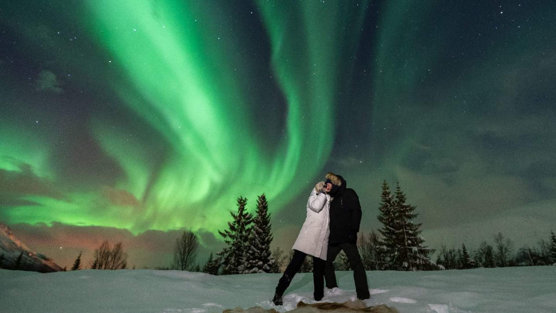 Northern Lights Chase