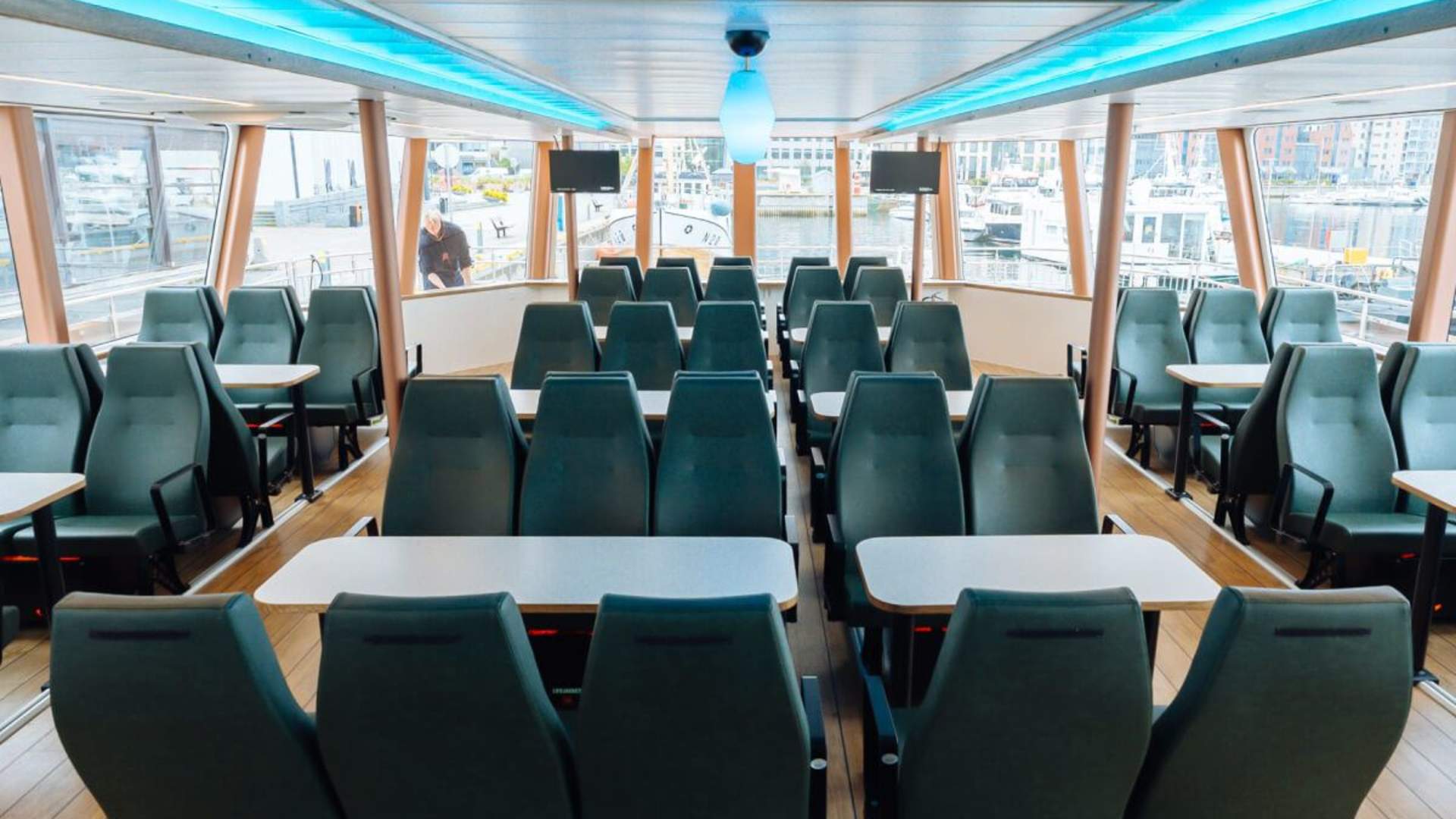 Silent Whale Watching with scenic roadtrip