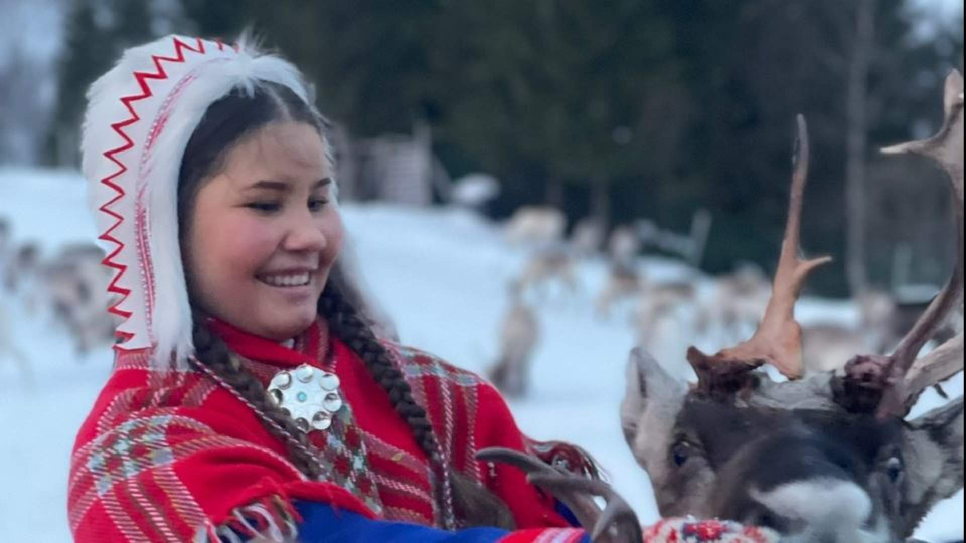 Sami-camp visit with a reindeer experience