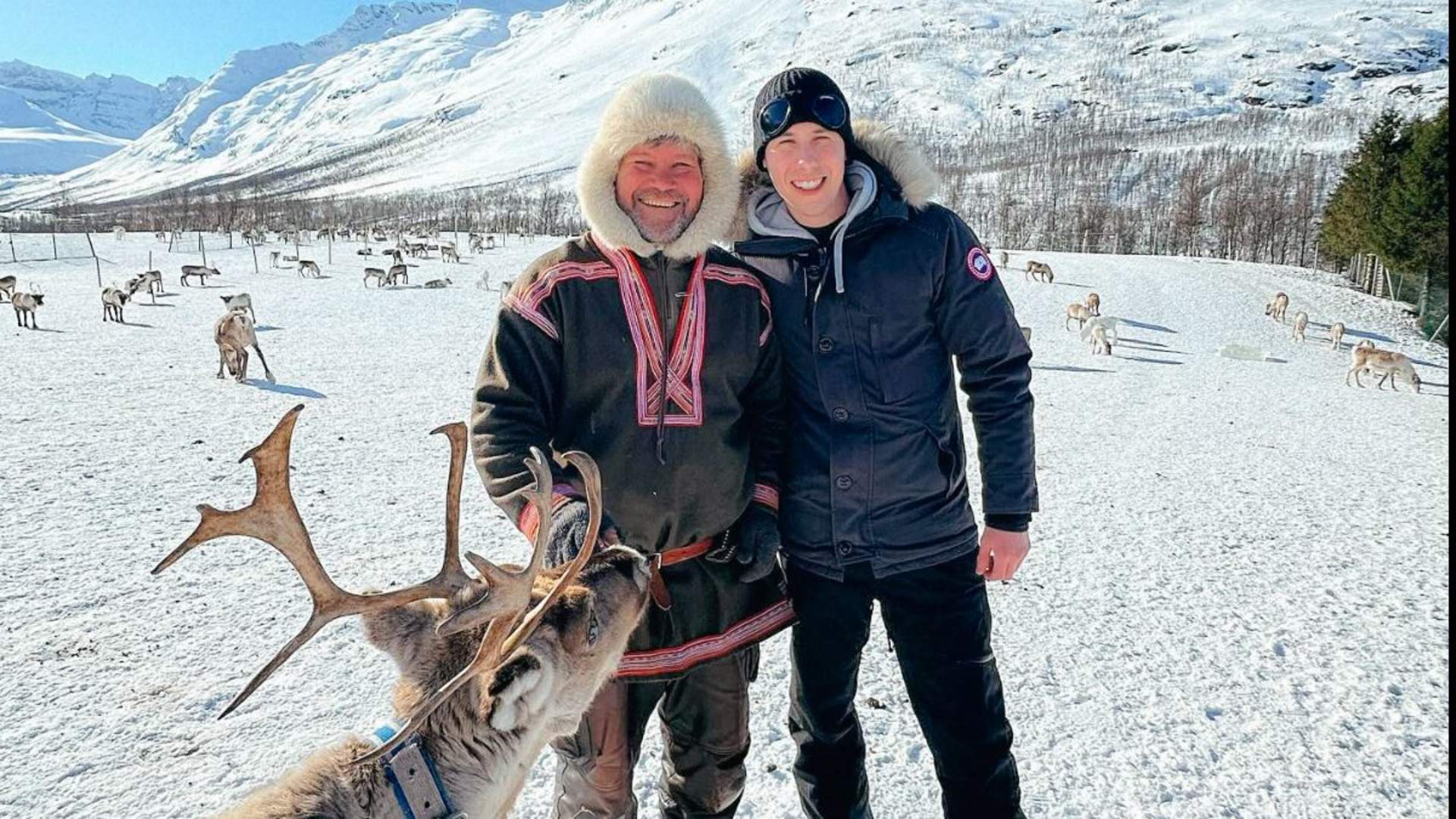 Sami-camp visit with a reindeer experience