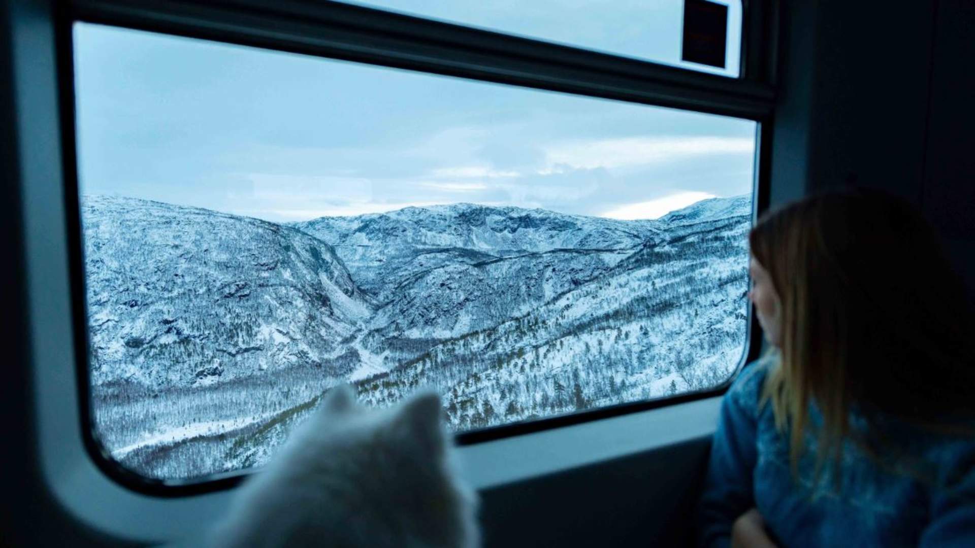 The Arctic Train - Ofoten Line