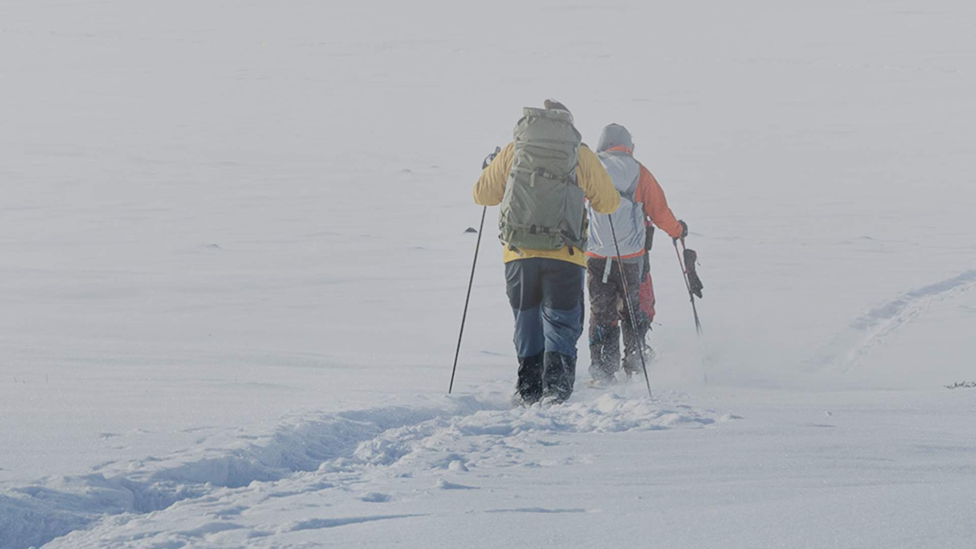 Snowshoe Trekking Arctic Panorama Lodge