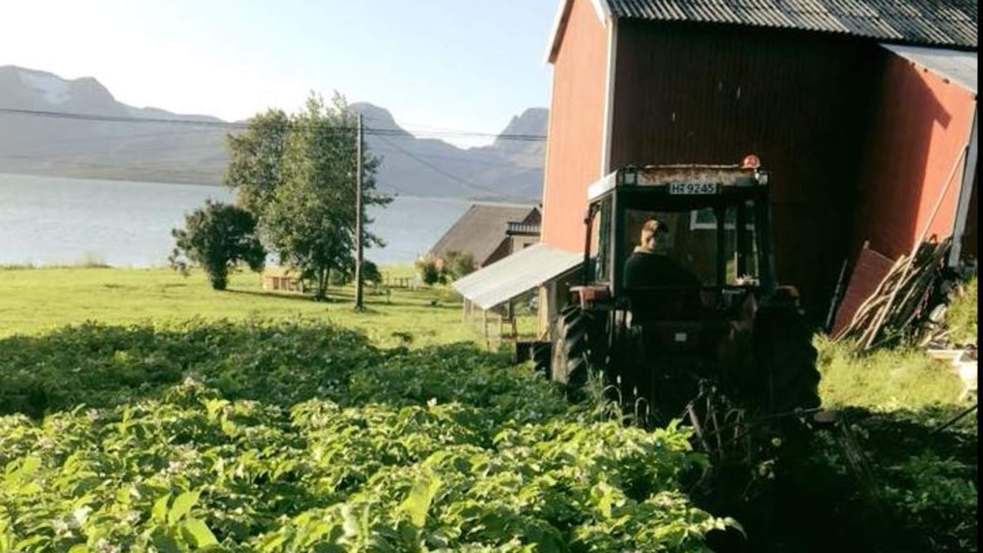 Farm visit with a guide