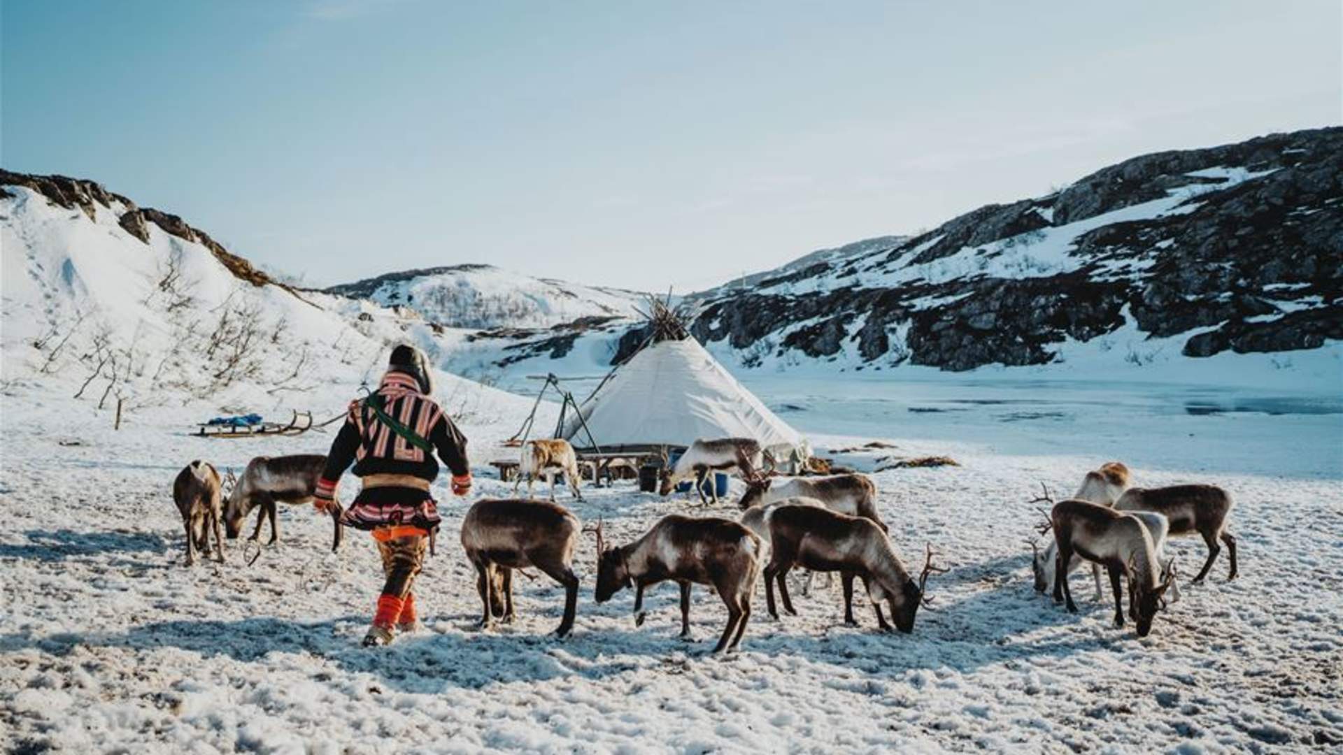 (IKKE BOOK) Arctic Fjords and Reindeer Experience - Small group tour