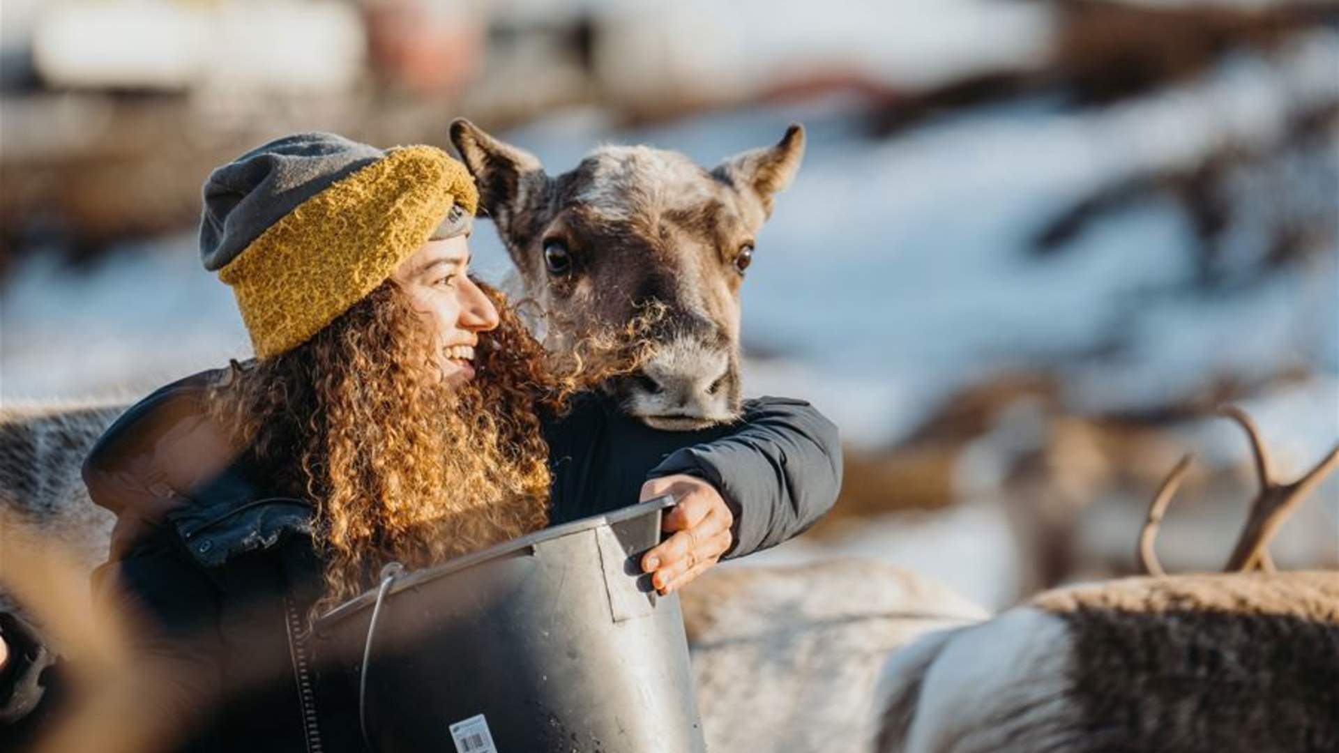 (IKKE BOOK) Arctic Fjords and Reindeer Experience - Small group tour
