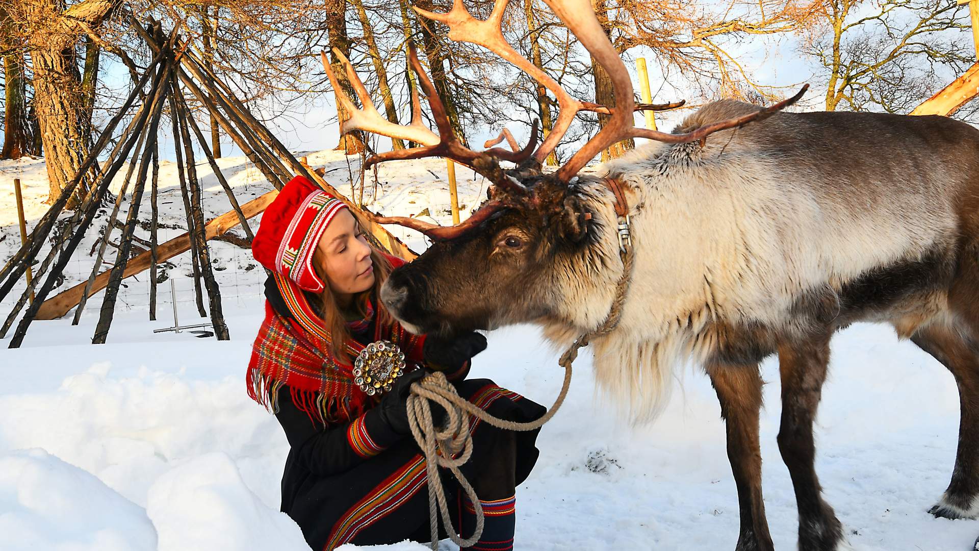 Saltfjell Sami Adventure