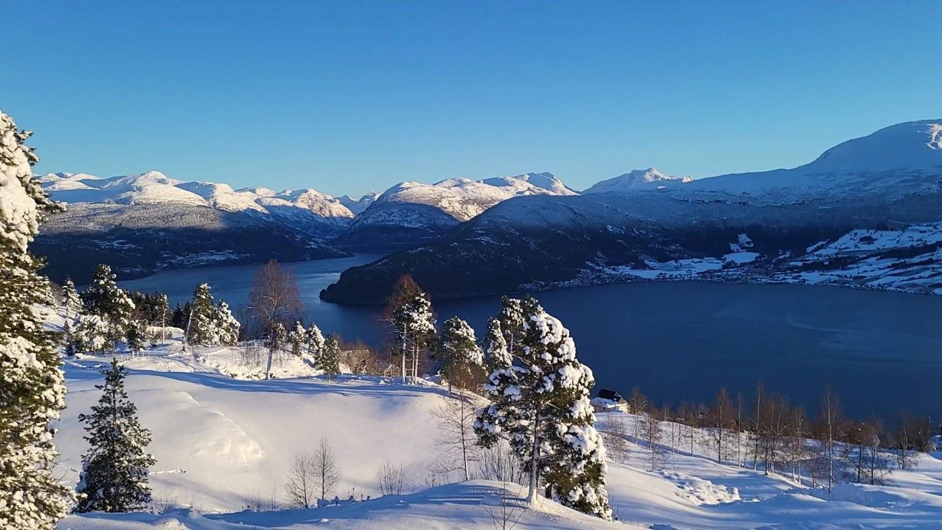 Roset Panorama