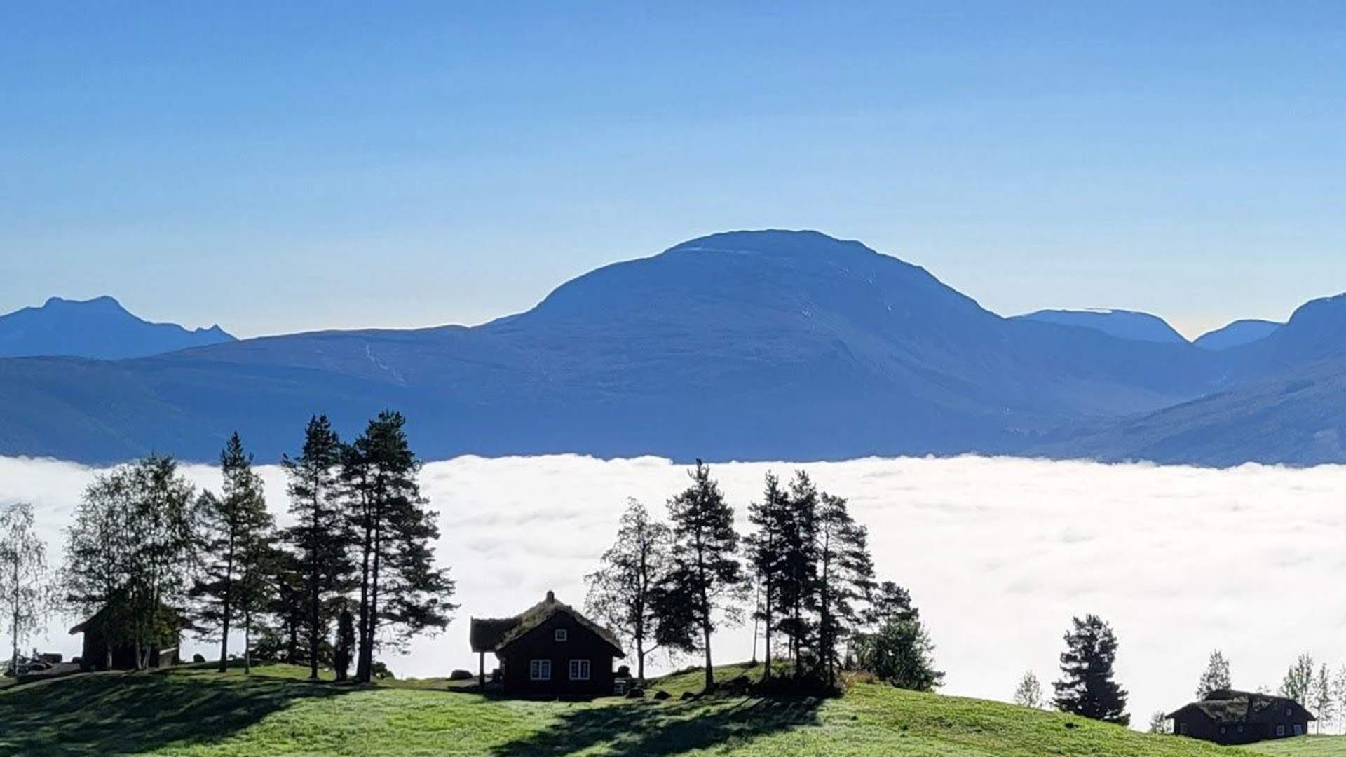Roset Panorama