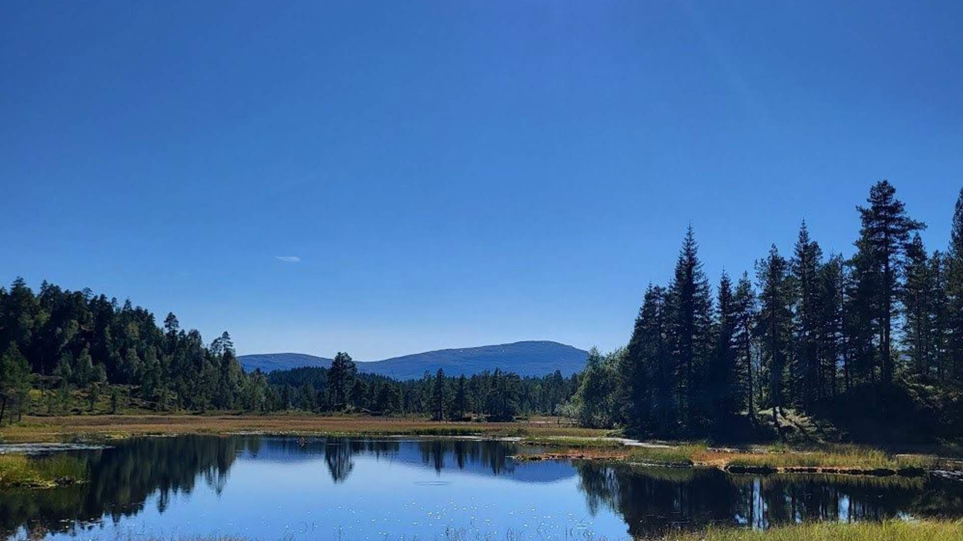 Roset Panorama