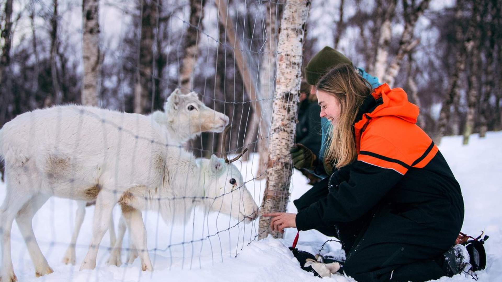 Tromsø Ice Domes Snow Park, Wilderness Experience & Snow Carving - Excluding Transport