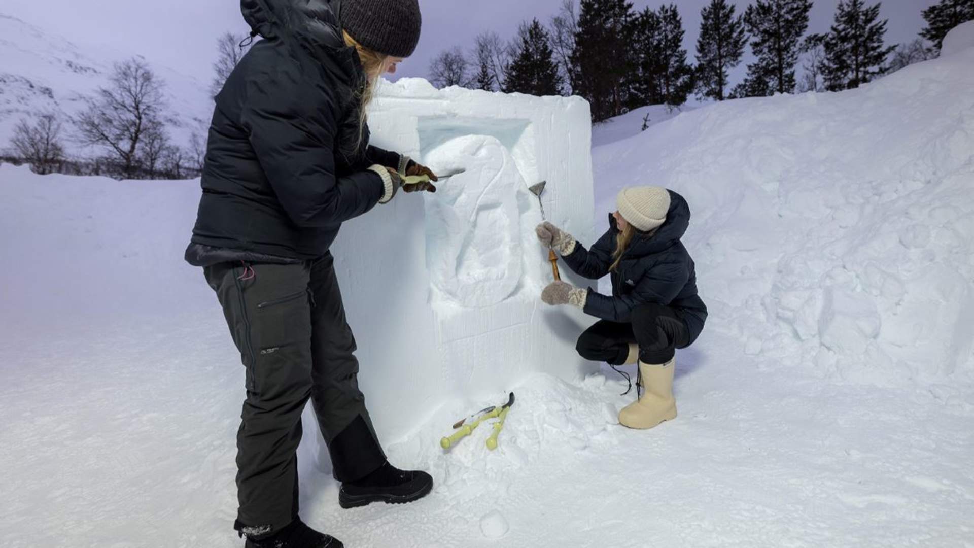Tromsø Ice Domes Snow Park, Wilderness Experience & Snow Carving - Excluding Transport