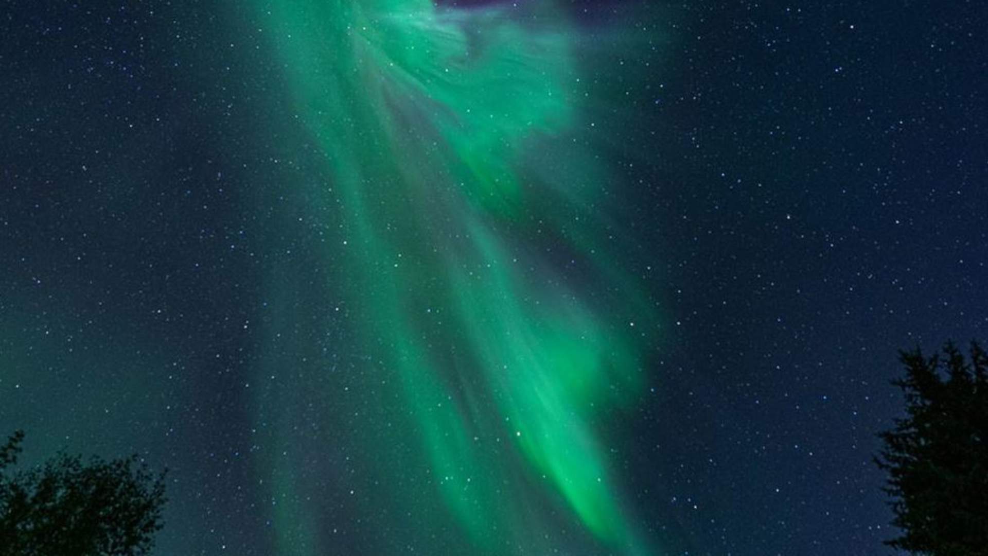 Northern lights in the sky