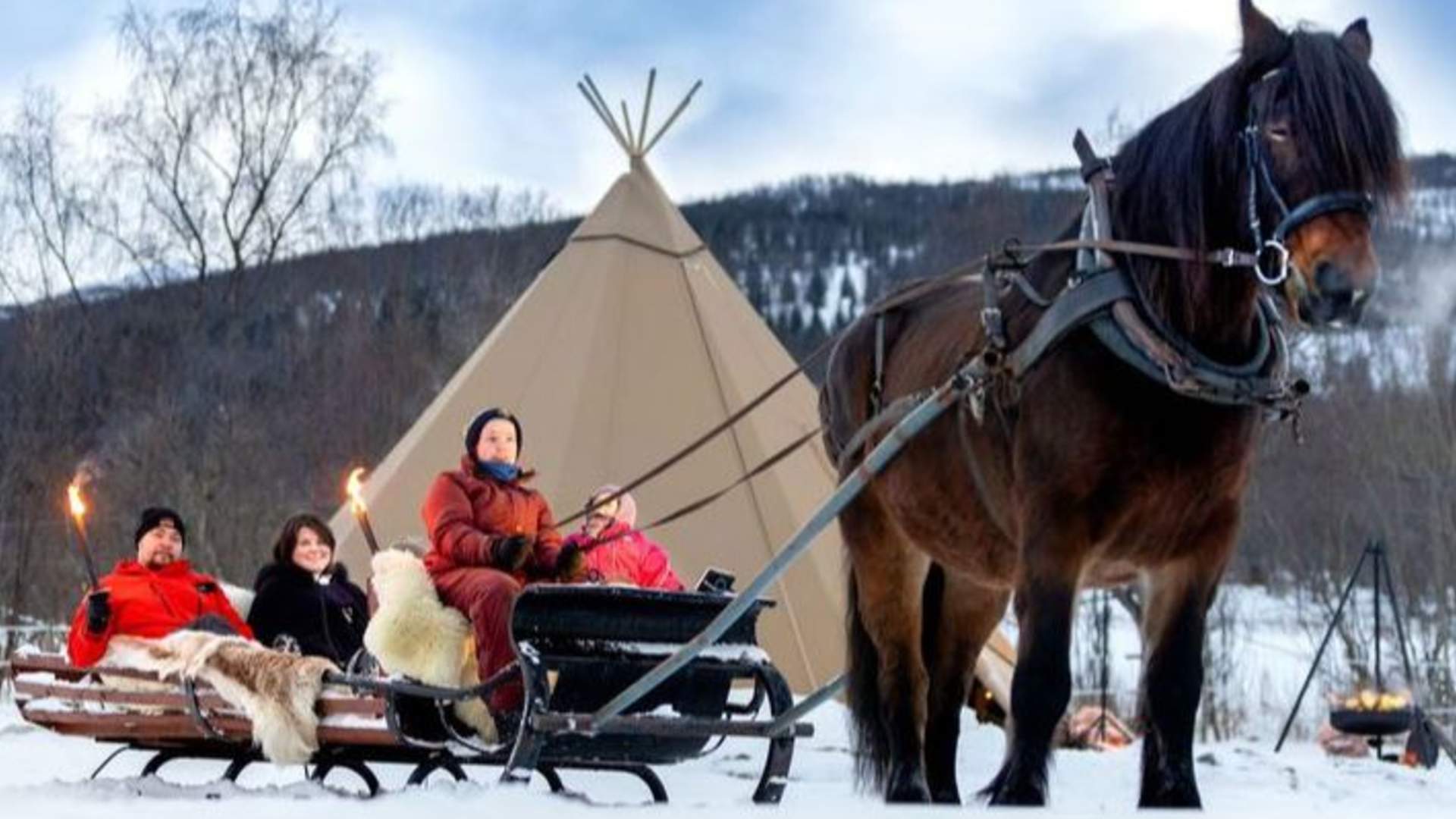 Northern Norwegian experience at Angell Farm