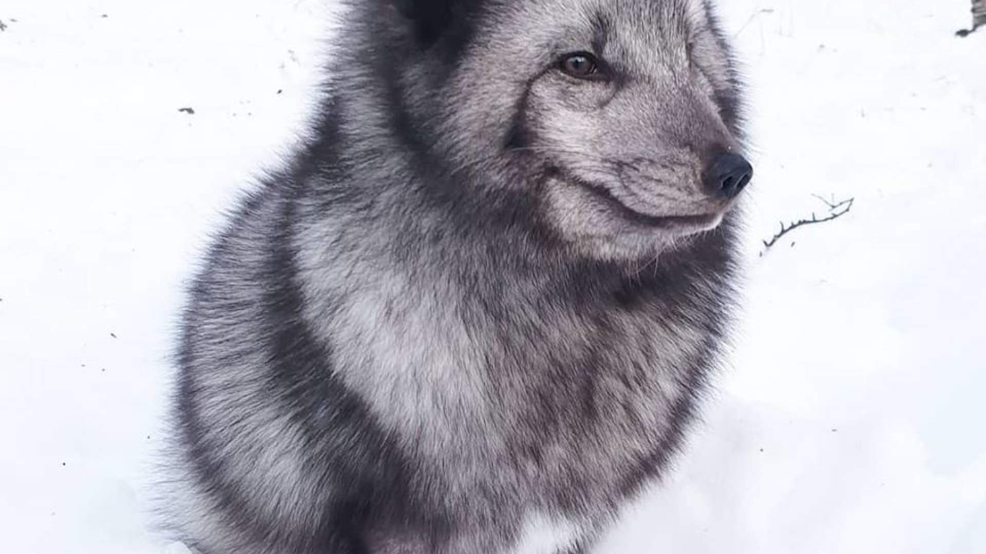 Polar Park