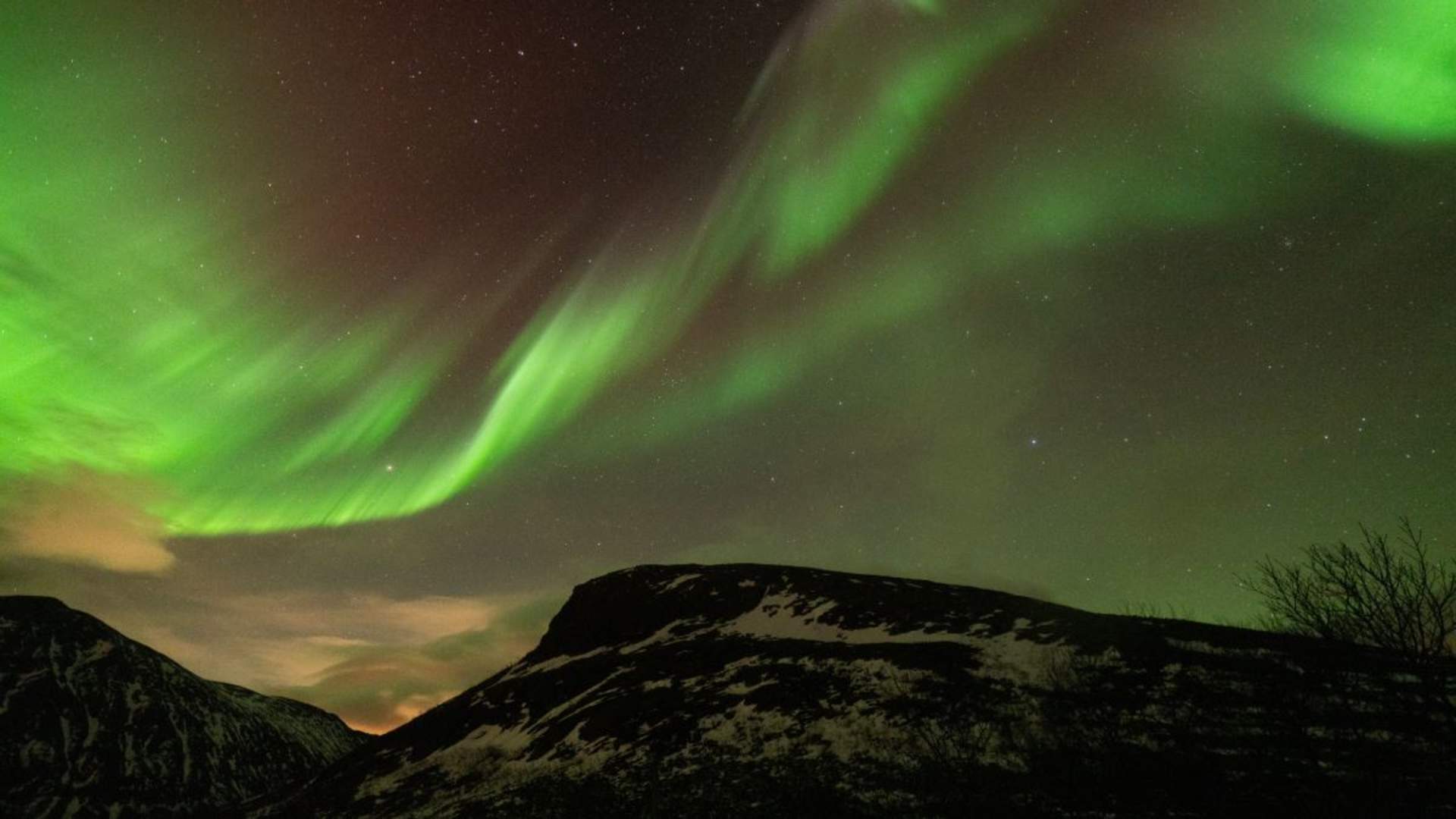 Nordlystur med lokale eksperter