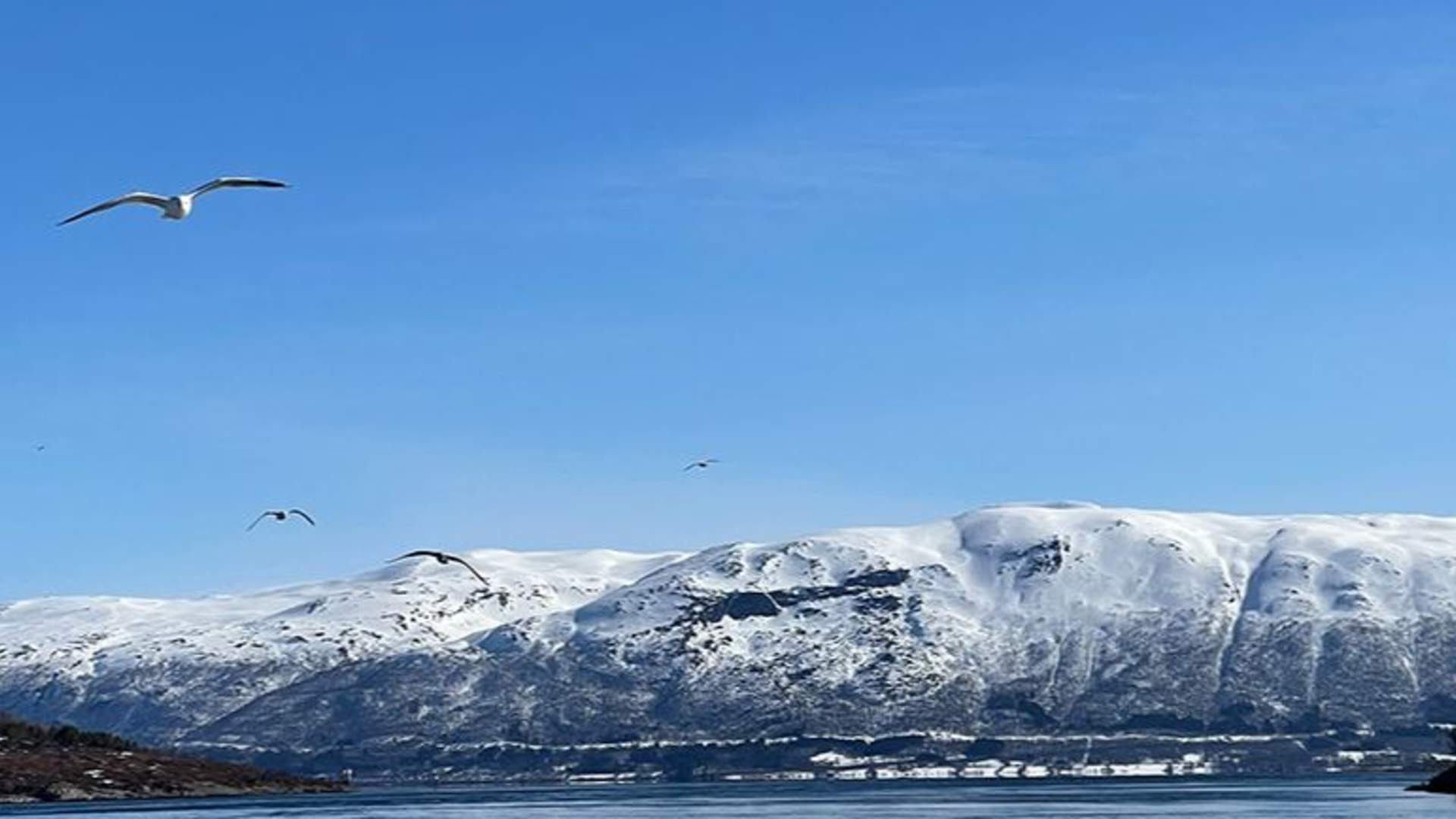 Tromso Arctic Fishing Adventure