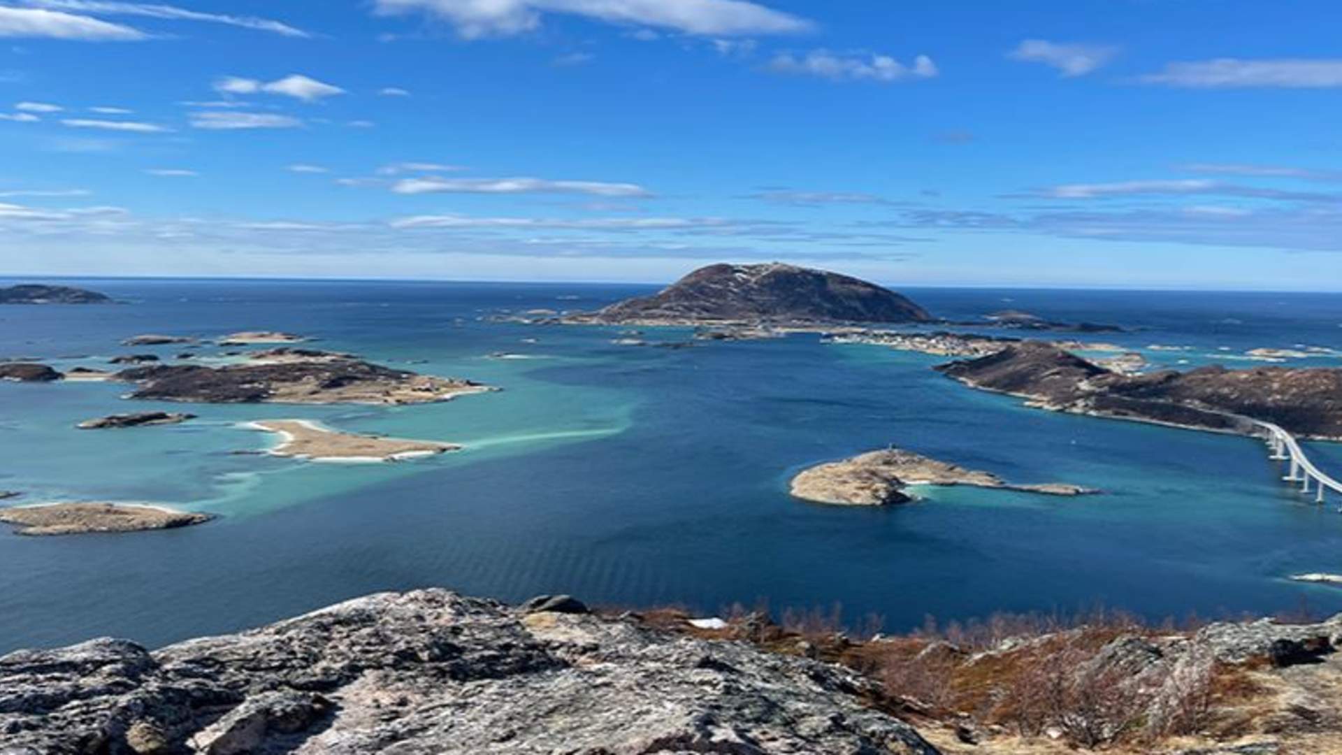 Minibus Tour: Fjords, Wildlife & Fishing