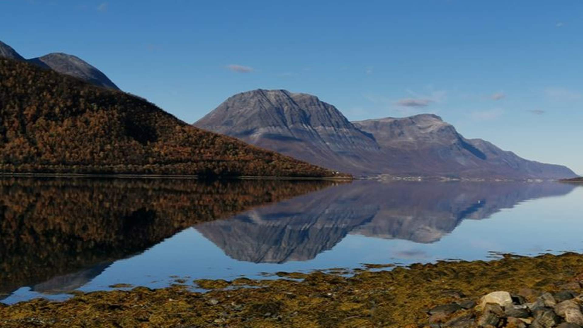 Minibus Tour: Fjords, Wildlife & Fishing