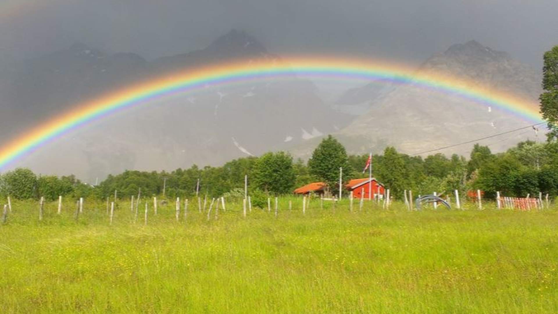 Minibus Tour: Fjords, Wildlife & Fishing