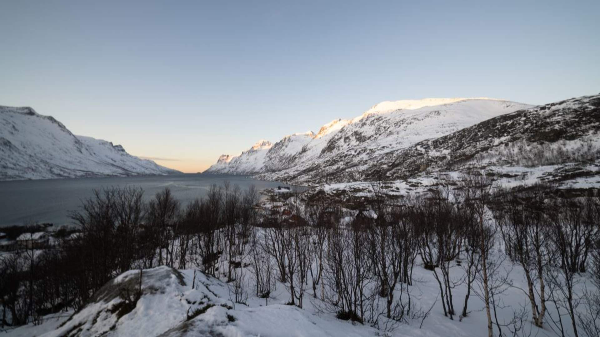 Fjordeventyr med lunsj og foto