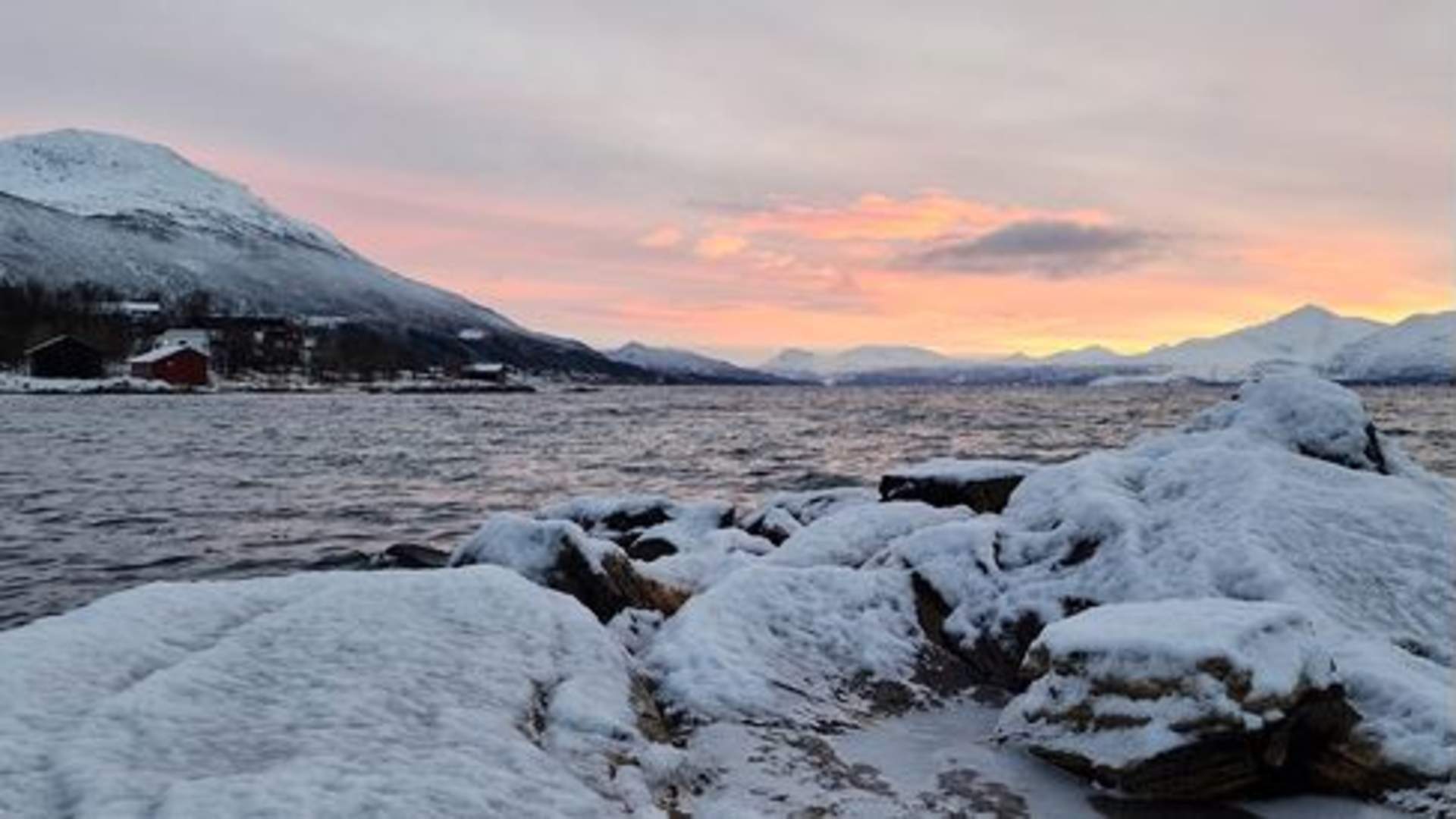 Fjordeventyr med lunsj og foto