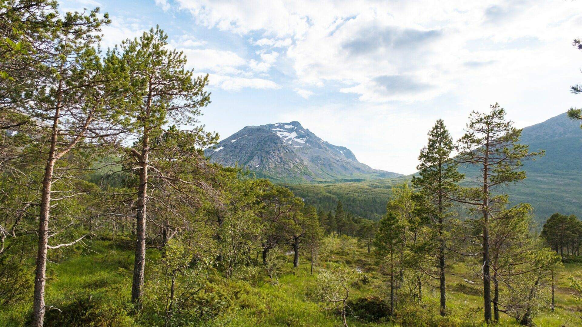 Heilhornriket Bindal