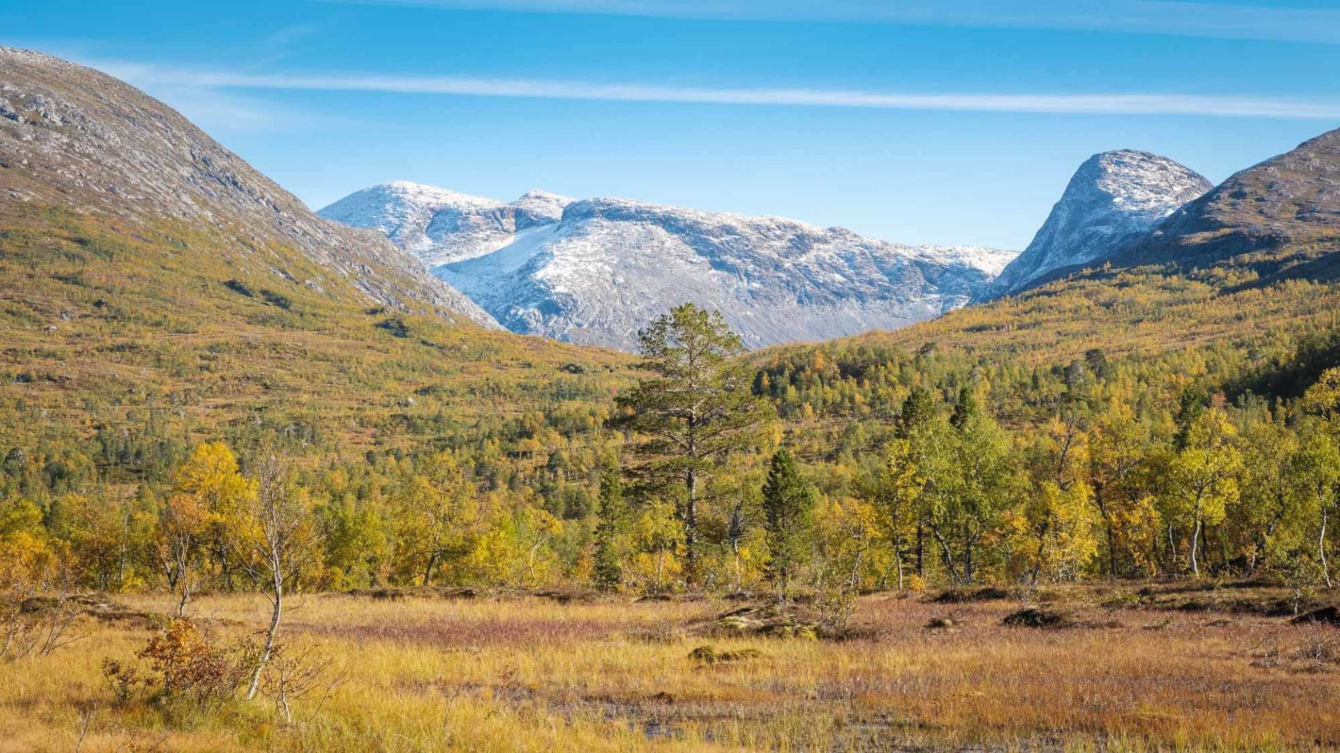 Villmarksveien - Langs Børgefjell, Røssvatnet og Okstindan