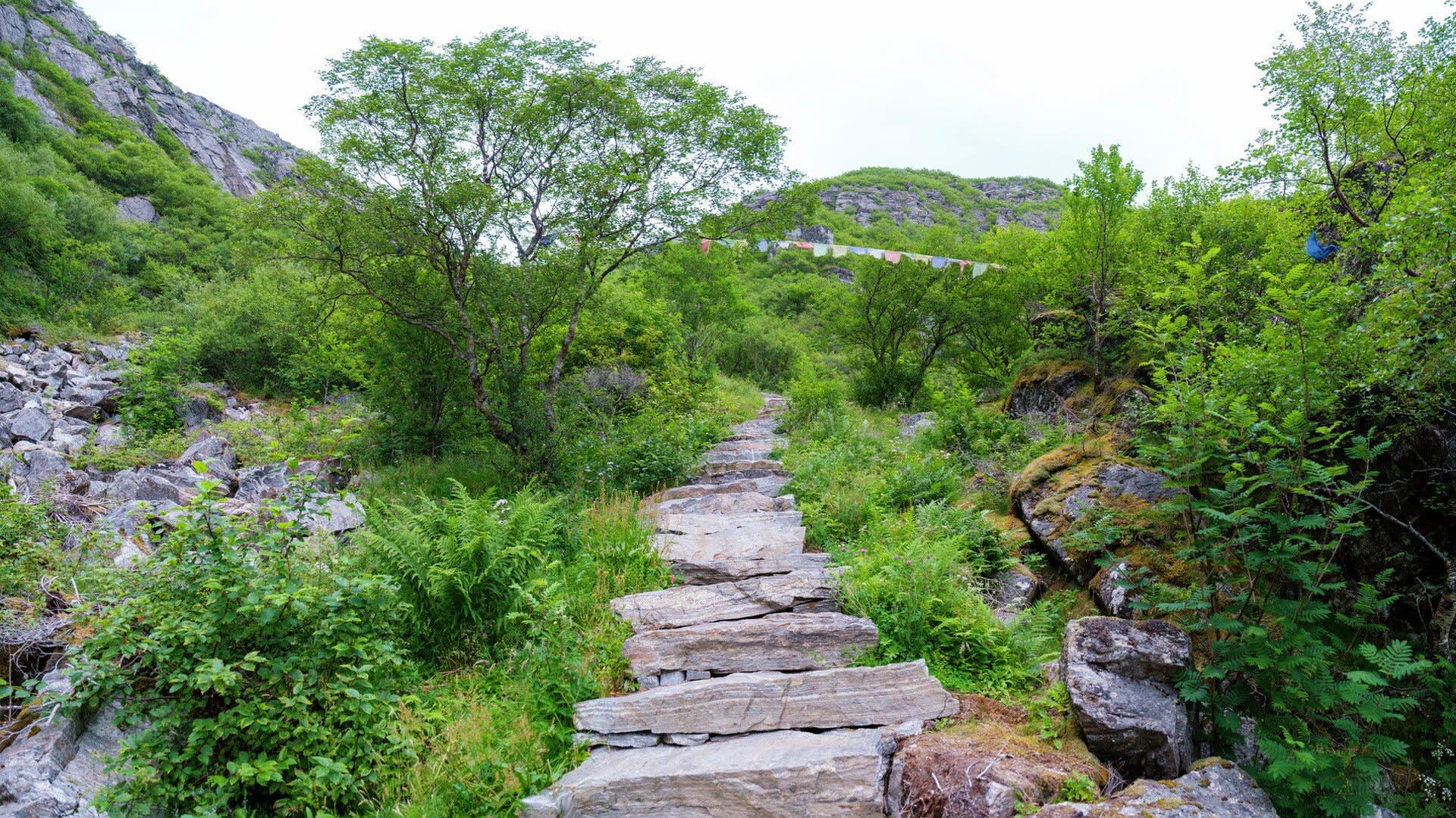 Rødøy on the Helgeland coast