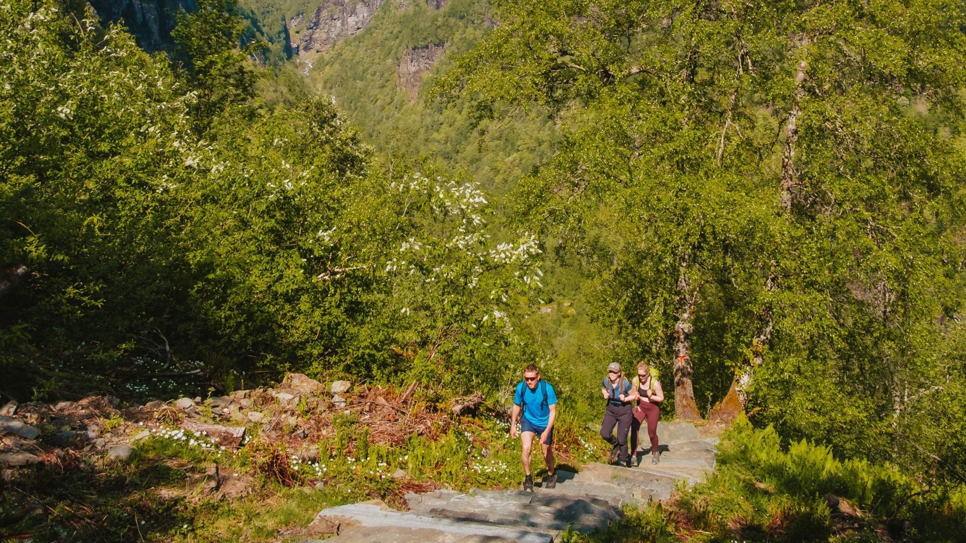 Sherpa route to Kvanndalsstølen