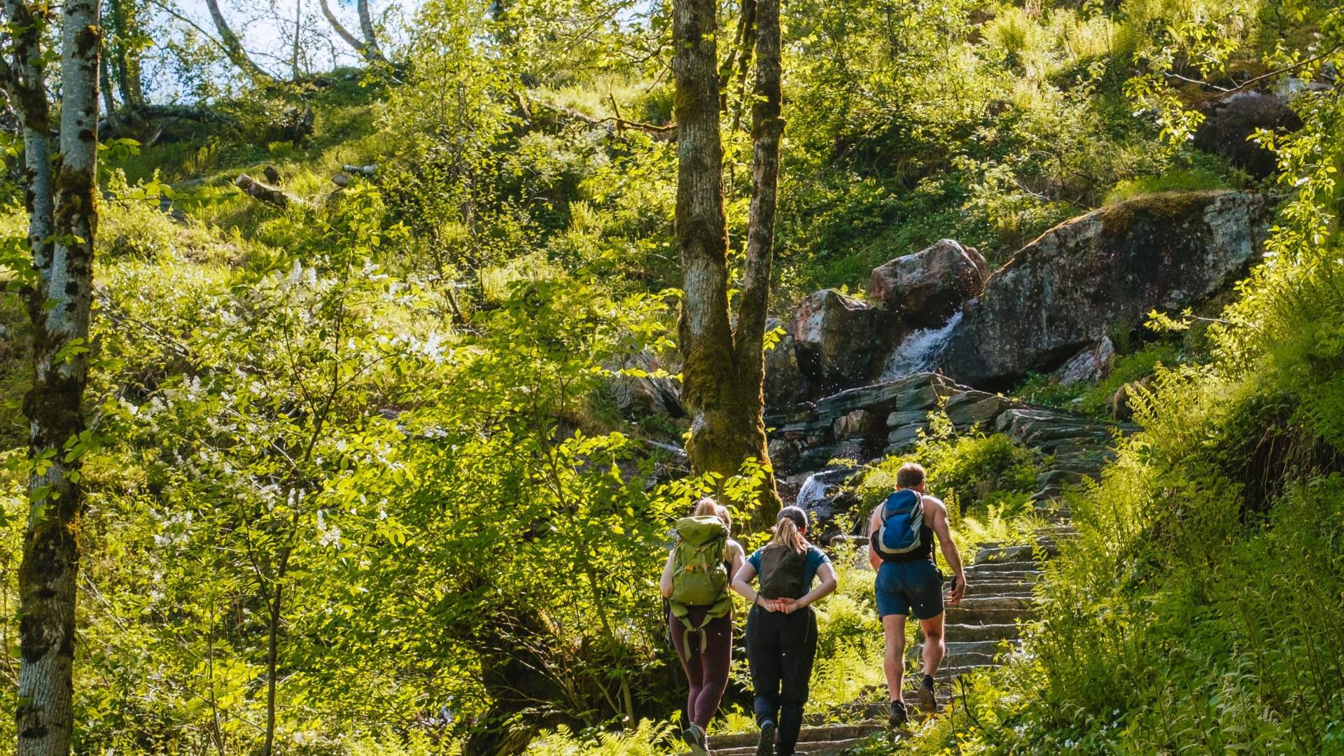 Sherpa route to Kvanndalsstølen