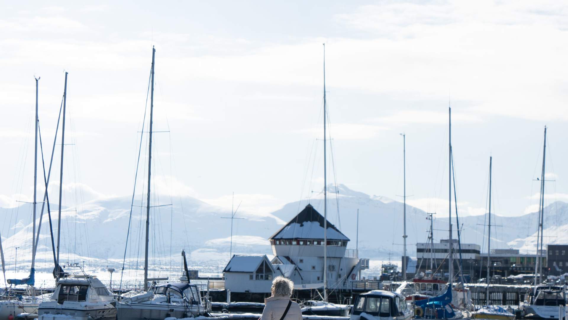 Tromsø City Walk - Small Group Tour