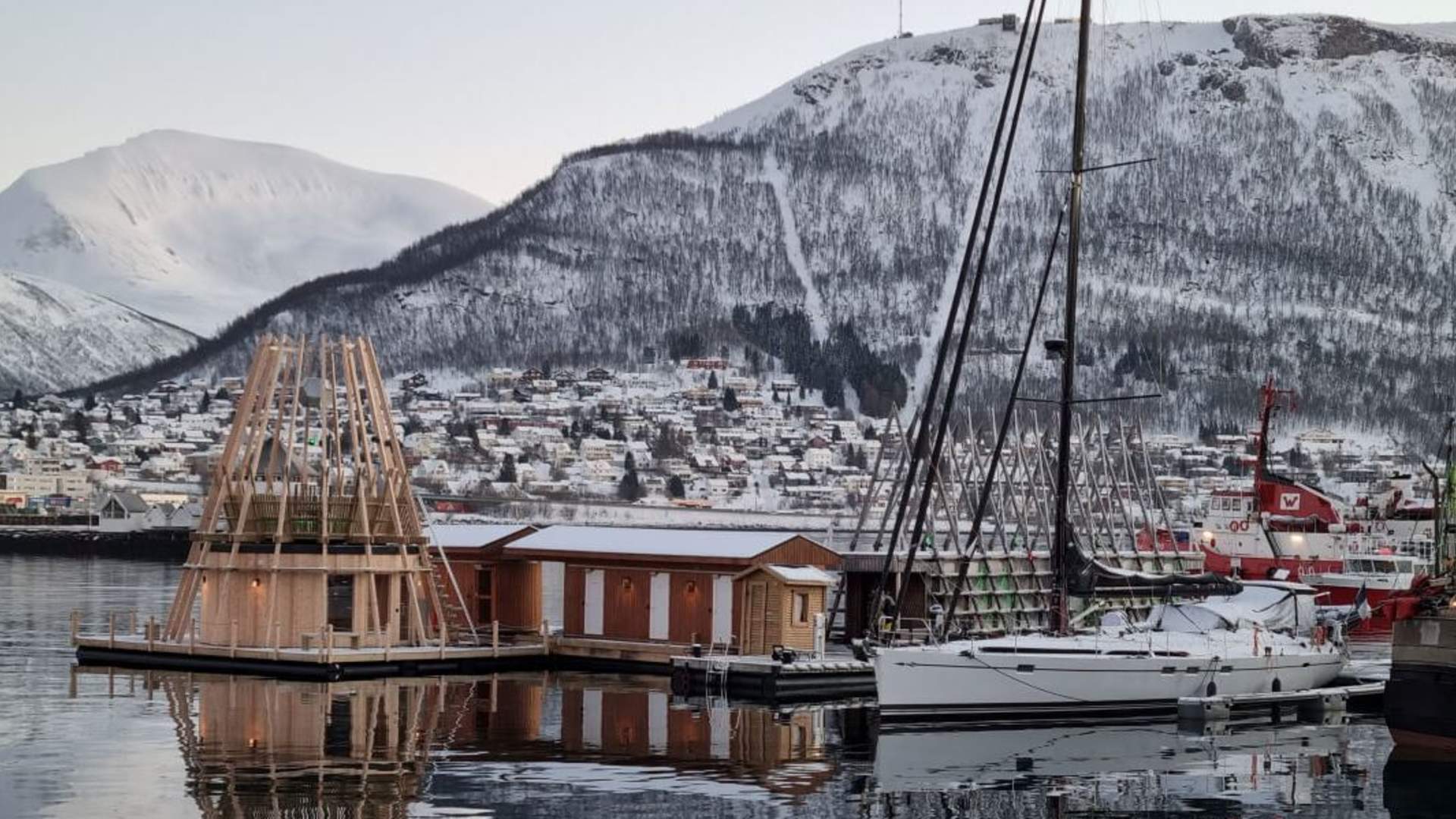 Introduction to Tromsø - Polar Bear Discovery