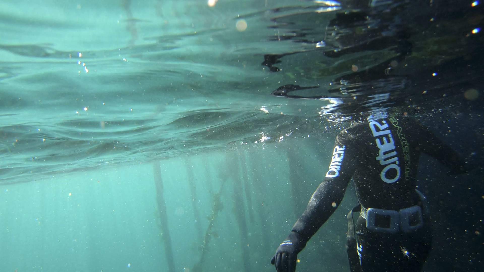 Freediving and kayaking in Træna - explore the underwater world