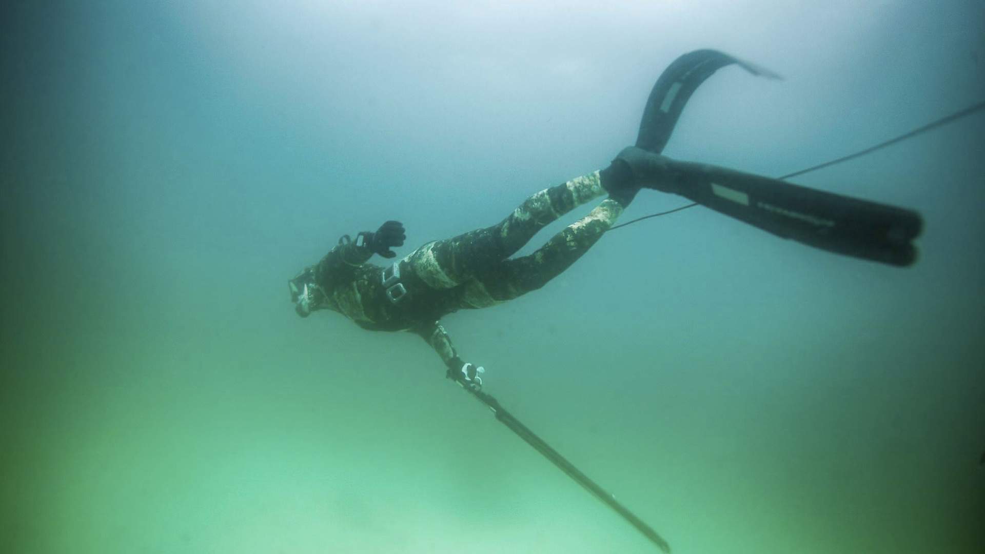 Freediving and kayaking in Træna - explore the underwater world