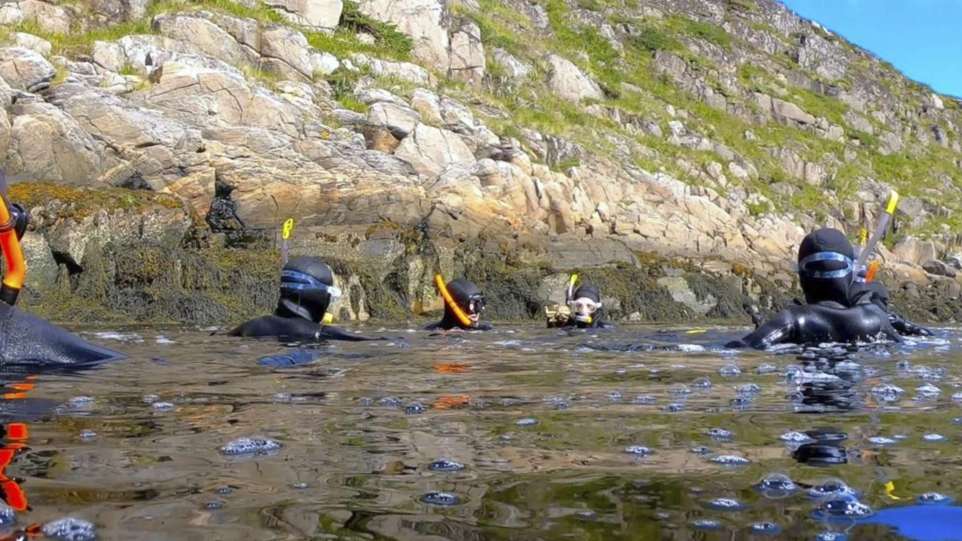 Freediving and kayaking in Træna - explore the underwater world