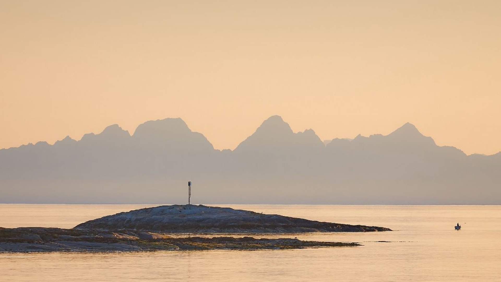 Arctic Summer Seafood Cruise