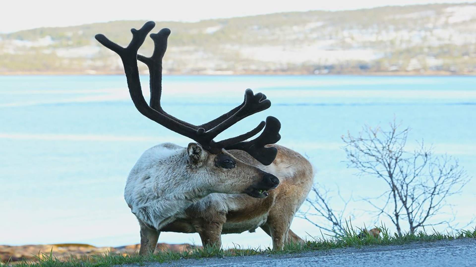 Arctic Road Trip &#8211; private tour