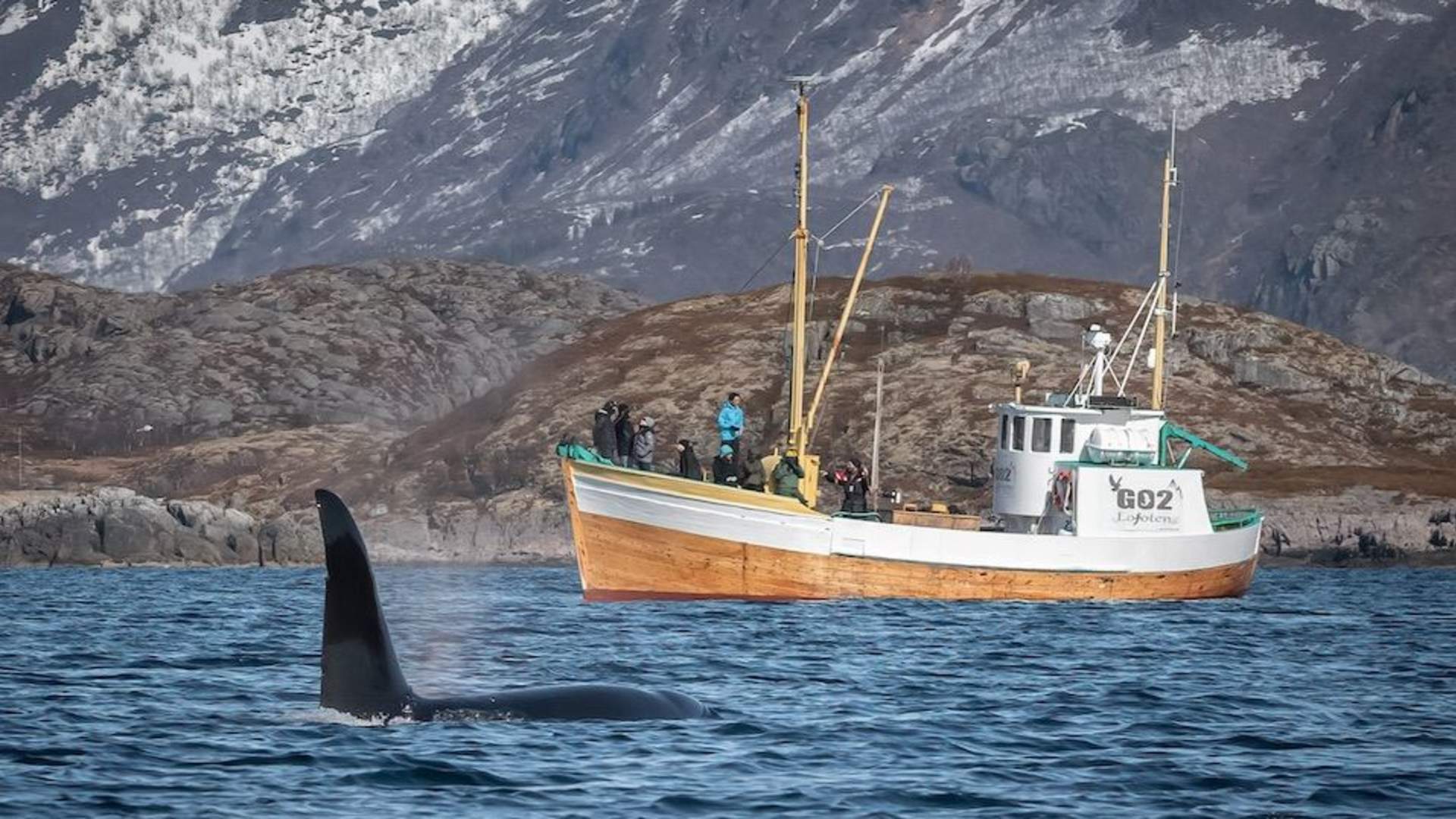 Fisketur i Lofoten - Go2Lofoten