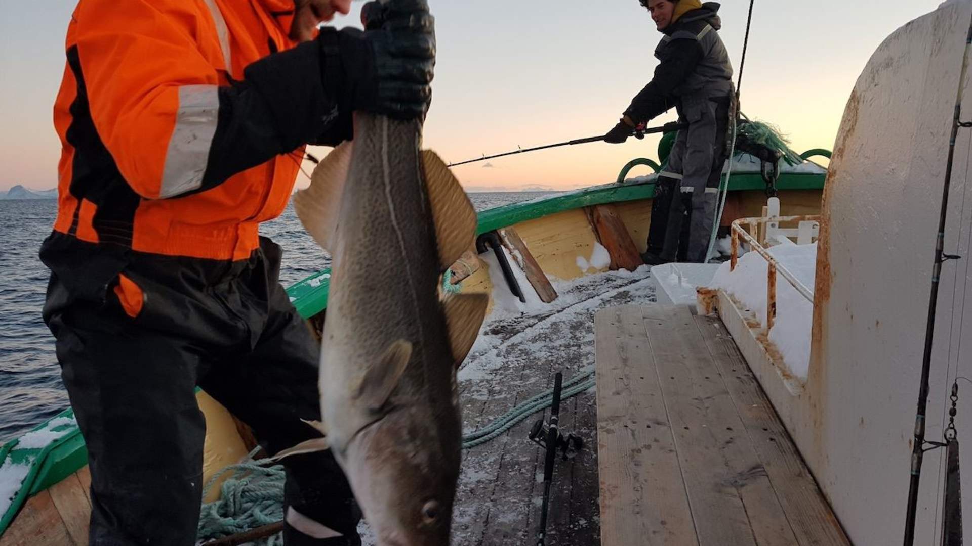Fisketur i Lofoten - Go2Lofoten