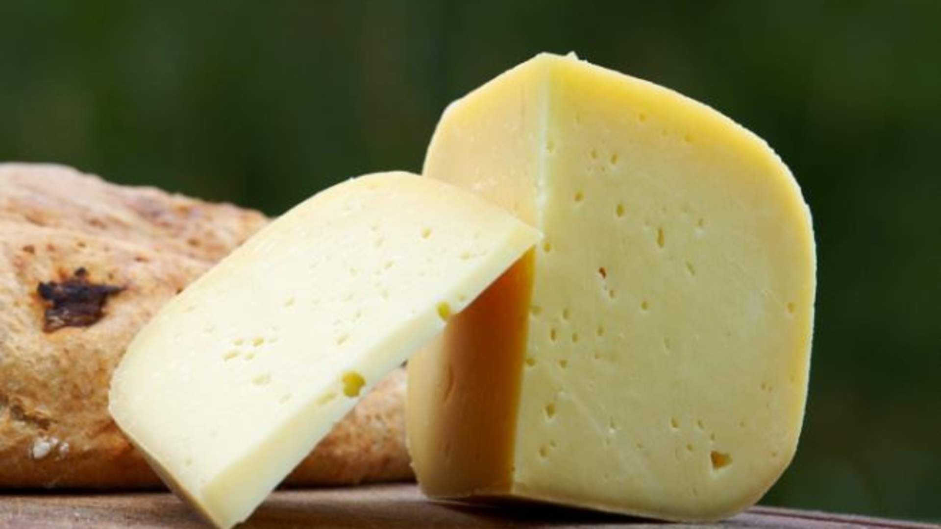 Make your organic cheese on a goat farm this summer in Lofoten!
