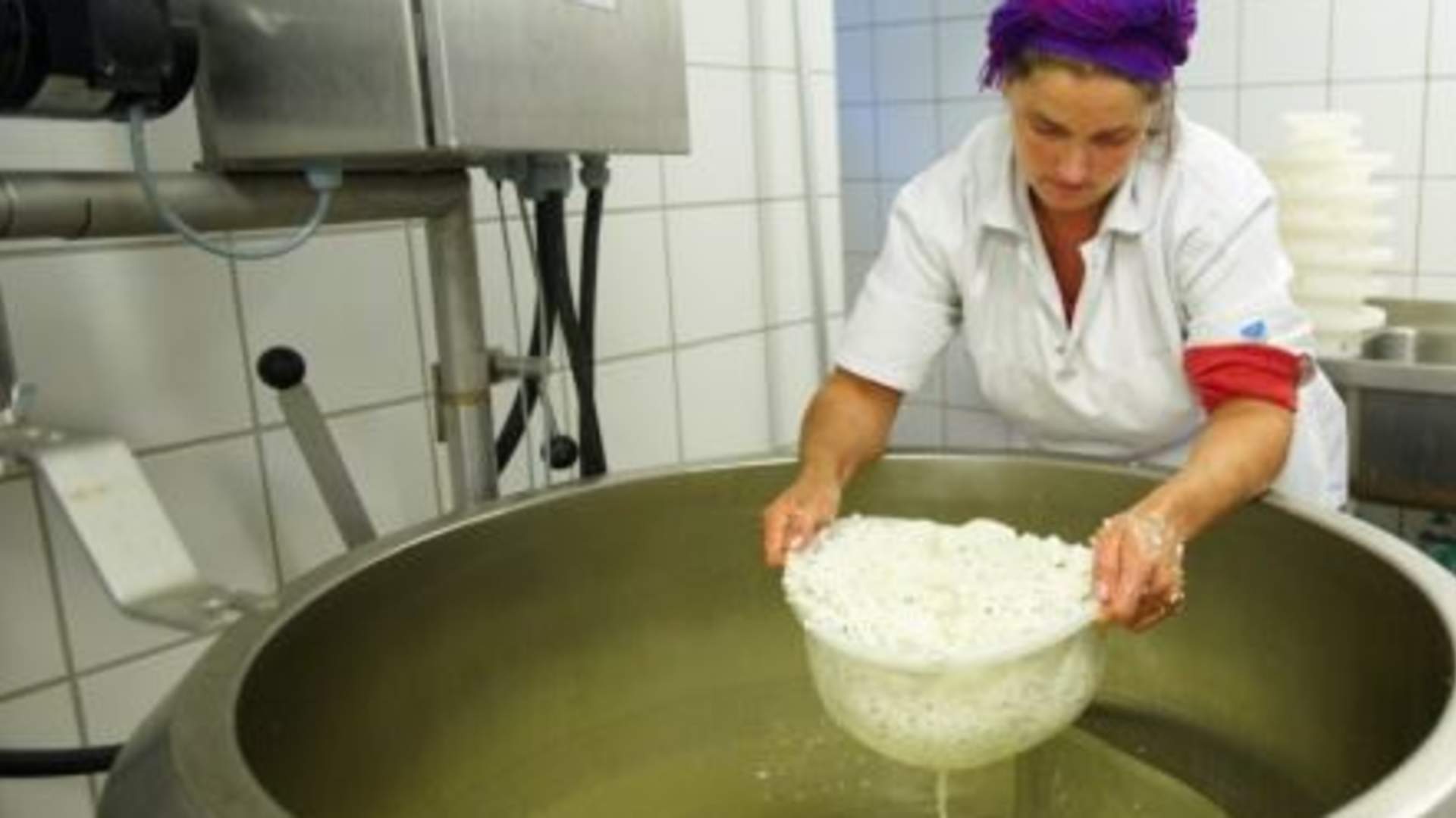 Make your organic cheese on a goat farm this summer in Lofoten!